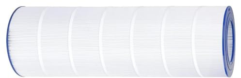 PAP200 Cartouche de filtre de piscine de rechange, compatible avec les filtres de piscine gonflables CC200 et C9419, matériau PET, 1 paquet