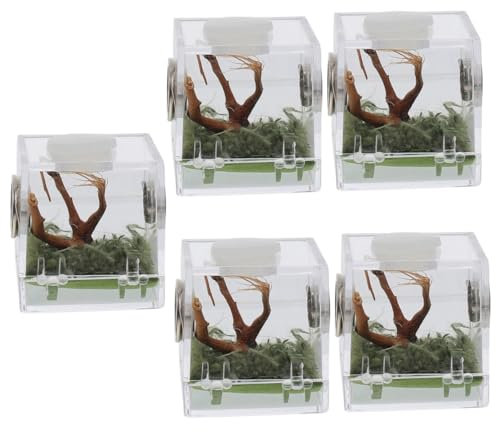 YARNOW Schaben Zuchtbox 5er-Box Springspinnen-zuchtbox Sprungspinnengehege Spinnen-schlüpfbehälter Aus Acryl Gehäuse Tank Reptil Kleintierhaus Insektenbox Schneckenbehälter Aus Acryl Insektenbehälter