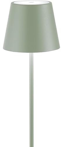 Anna Flowers Lampada da tavolo ricaricabile in alluminio, LED dimmerabile touch, 5W, 3 temperature di colore [Classe di efficienza energetica A+++] (Grigio)