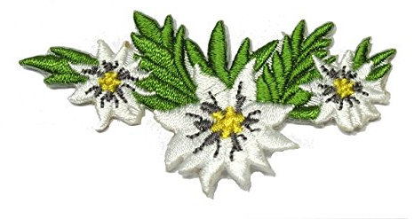 2 Aufnäher Bügelbild Aufbügler Iron on Patches Applikation Edelweiss 7 x 3,8cm vor209-6