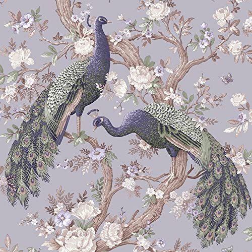 Laura Ashley Papier peint intissé Paons Belvedere Iris 1005 x 52cm Mauve | Revetement Mural, Tapisserie | Facile à poser et à Enlever