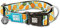 Max & Molly Hundehalsband mit Sicherheits-QR-Code, Hundemarke, weich, verstellbar und wasserdicht, niedliches Sommer-Themen-Design für Mädchen und Jungen, Hunde und Welpen, Größe XS
