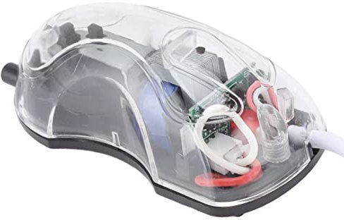 Tanque de Peces, Bomba de Aire Portátil para Acuario, Oxigenador Pecera, Bomba de Aire USB DC 5V 0,8 W, Minibomba de Aire de Oxígeno Portátil Ultrasilenciosa USB para el Hogar, la Escuela