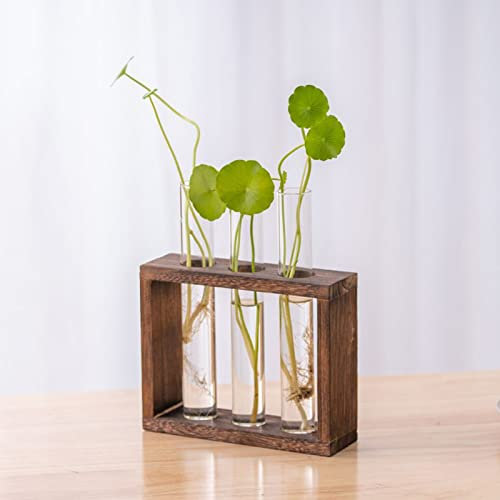 Glas Reagenzglas Kleine Vasen Für Tischdeko Blumenvase Für Blumen Mit Ständer Holz Propagation Station Für Wohnzimmer Dekoration Und Hydroponik Pflanzen, M