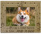CREATCABIN Hunde-Bilderrahmen,Haustierpfoten,Holz-Fotorahmen,Graviertes Display,Hölzerne Tischplatte,Postkartenrahmen,Geschenke Aufhängen,21.8x16.8cm-Alles,was Sie Brauchen,Ist Liebe Und EIN Hund