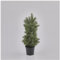 EDG Enzo De Gasperi Albero di Natale Piccolo Pino in Vaso PVC Sintetico Artificiale D11xH40 cm