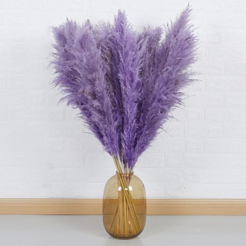 10 Stück Pampasgras Groß - DATEFUN Getrocknete Pampasgrasdekoration 100CM - Getrockneten Blumen Deko Natürliche & Flauschige - für Boho, Bodenvasen, Tisch, Hochzeits, Wohnzimmer, Schlafzimmer(Lila)