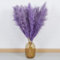 10 Stück Pampasgras Groß - DATEFUN Getrocknete Pampasgrasdekoration 100CM - Getrockneten Blumen Deko Natürliche & Flauschige - für Boho, Bodenvasen, Tisch, Hochzeits, Wohnzimmer, Schlafzimmer(Lila)