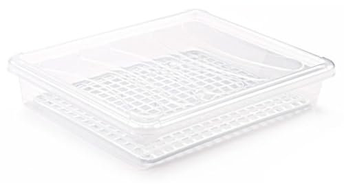 Tradineur - Pack de 6 bandejas frigoríficas de Almacenamiento con Tapa y Rejilla, plástico, Reutilizable, descongelar Alimentos, Fabricado en España - 4 litros - 35 x 27,5 x 6,5 cm - Transparente