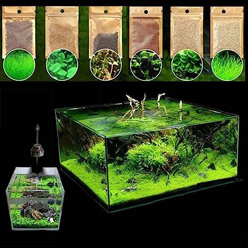 lamphle 600 Unids Aquatics Agua Hierba Planta Semillas Pecera Acuario Paisaje Decoración Flor Fruta Árbol Semillas Vegetales Semillas de hierba de agua 600 piezas