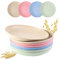 Happybase 10 inch Dinner Plates, 8Pcs Unbreakable Plastic Plates Reusable Picnic Plates Microwave and Dishwasher Safe Dishes for Adult Children Kids