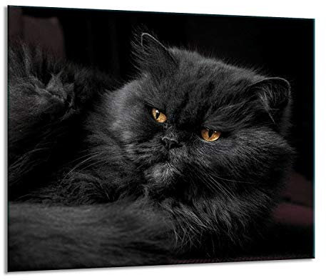 Herdabdeckplatten Ceranfeldabdeckung Spritzschutz Glas 60x52 Katze