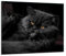 Herdabdeckplatten Ceranfeldabdeckung Spritzschutz Glas 60x52 Katze