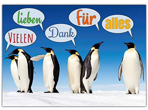 A4 XXL Dankeskarte PINGUINE mit Umschlag - Premium Klappkarte geeignet für alle Anlässe wie Geburtstag Hochzeit Jubiläum Danke Karte von BREITENWERK