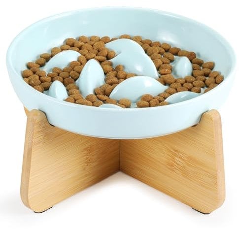 PETTOM Gamelle Anti Glouton Chat Céramique avec Bambou Support, Anti Vomissements Gamelle pour Chat Manger Lentement pour Wet/Dry Food (Vert)