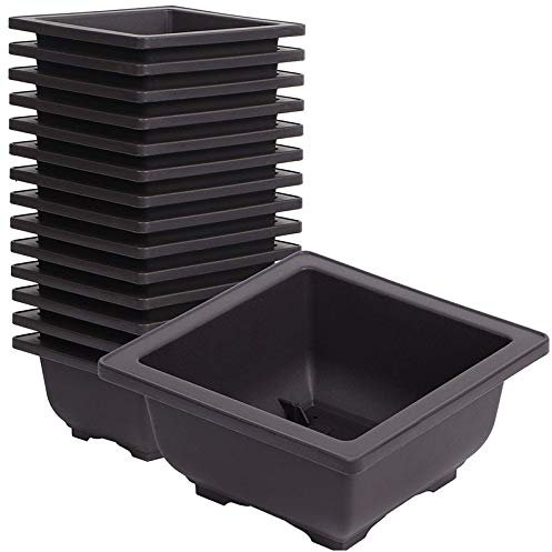 Senmubery 15 vasi da fiori quadrati in plastica per bonsai, 12,9 cm, per fiori, piante grasse, per giardino, interni, decorazione della casa