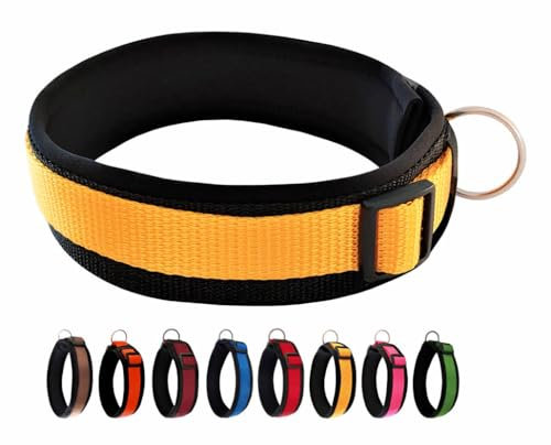 BUDDYPACK-Halsband Extra-Breit & Weich mit Neopren-Polster für Kleine und Große Hunde (Gelb auf Schwarz, XXS)