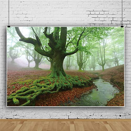 Bovlleetd 220x150cm forêt Tropicale Photographie Fond tôt Le Matin Brouillard forêt Fond Arbres Verts Couverts de Mousse Feuilles caduques Fond