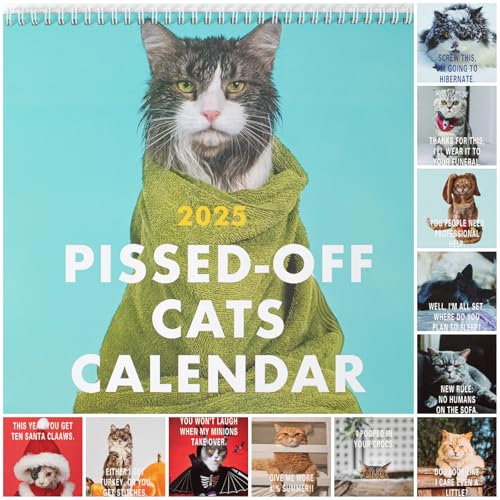 Funny d Off Cat Kalender 2025 UK Wandkalender Planer, 12 Monatskalender 2025 Kalender Planer, Katzen Lustige Sprüche Familie Organizer Wandkalender Planer, Planer Kalender Geschenk für
