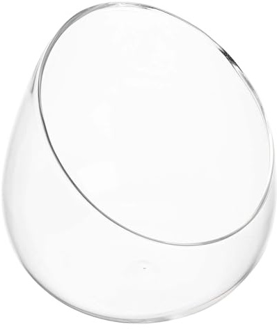 SHERCHPRY Terrarium pour Plantes en Bocal de Verre Vase en Verre pour Terrarium Coupe Oblique Forme Bulle Compact et Scellé pour Succulentes et Fleurs Bureau et Décoration Intérieure