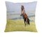 ERRTU Kissenbezug 45x45 cm,Pferde, Bay Achal Tekkiner Hengst Aufbäumen auf dem Feld Nobles Mammal,Dekokissen Kissenbezüge Deko Kissen Bezug Wohnzimmer Zierkissen für Sofa Stuhl Bett Garten