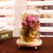 Warmiehomy Glass Cloche Bell Jar Dome with Wood Base Glass Domes for Display Suitable for forever flower doll and toys(Diameter 11cm, Height 20cm)