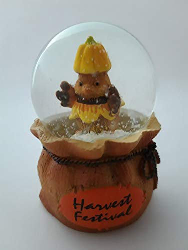 Glitzerkugel Herbst Vogel mit Kürbis Hut, Schneekugel Glitterkugel Sack Halloween Geschenkidee
