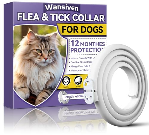 Wansiven Collar Antipulgas para Gatos, Ajustable Collar Antipulgas, Piojos, Pulgas, Parásitos, Adecuado para Gatitos, Gatos Medianos y Grandes 48cm