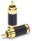 Dynavox Cinchstecker Carbon, 4er-Set vergoldet