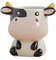 Gaolinci Mini Pot de Fleurs en céramique en Forme d'animal