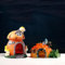 YouXiaor Aquarium Deko, 2PCS Fisch Tank Ornament Ornamente Aquarium Dekoration Kleine Fisch Tank Ornament Aquarium Ananas Haus Harz Ananas Schloss Turm Für Aquarium Fischteich Fisch Tank Dekor