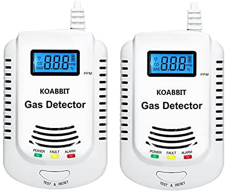 Carbon Monoxide and Natural Gas Detector,Combination Carbon Monoxide and Gas Detector Plug in for Home,Bedroom,RV (2 Packs)