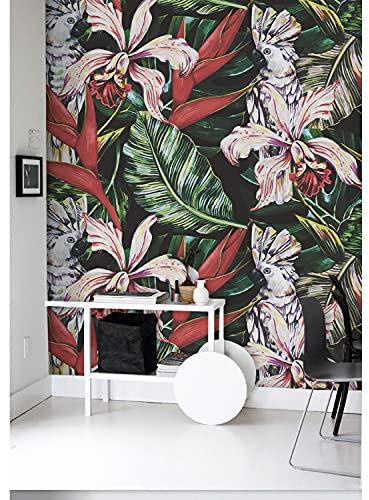 Coloray Le Papier Peint 250x250cm Décoration Meuble Chambre Salon Cuisine Muraux Latex Muralo Papiers Peints - Perroquets tropicaux
