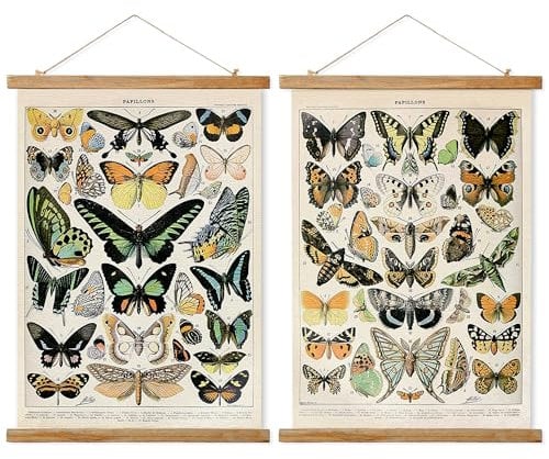 Ovfovy Vintage-Poster mit Schmetterlingen, Retro-Stil, Wandkunst, Cottagecore-Raumdekoration, ästhetisch, pädagogische Wanddekoration für Naturliebhaber und Sammler, 40,6 x 58,4 cm, 2 Stück