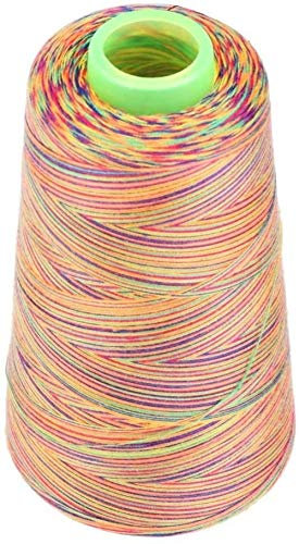 Regenbogenfarbene Nähgarne, Polyester-Stickerei, Spulen für Handnähmaschine, Handwerk