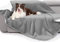Weaveinbay wasserdichte Hundedecke, Sherpa-Fleece Hundedecke, Waschbar für Sofaschutz, Weiche Plüsch Wendedecke, Möbel Schutzdecke, 127x152cm, Silbergrau