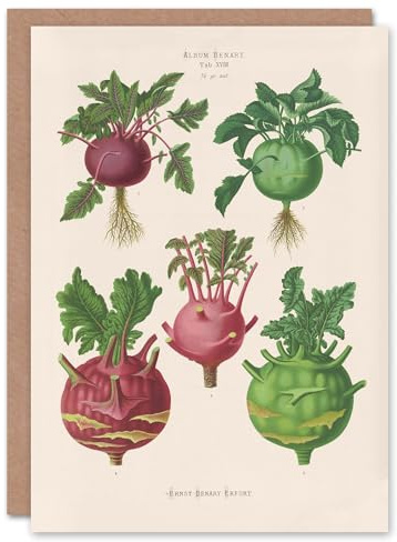 Artery8 Ernst Benary Art Card Kohlrabi Turnip Cabbage Varieties