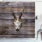 ABAKUHAUS Hirsch Duschvorhang, Rustic Antlers auf Holz, Stoffliches Gewebe Badezimmerdekorationsset mit Haken, 175 x 180 cm, Beige Braun