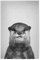 artboxONE Poster 30x20 cm Für Kinder Otter - Black & White hochwertiger Design Kunstdruck - Bild Animal Animals Baby