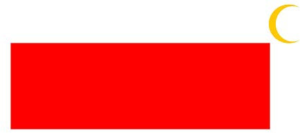 magFlags Flagge: Large Qatar 1916 | Qatar | 80x160cm