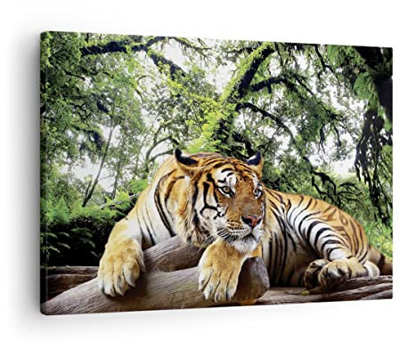 Bilder auf Leinwand Tiger Dschungel Ruhe Leinwandbild mit Rahmen 70x50cm Wandbilder Dekoration Wohnzimmer Schlafzimmer Küche Deko Klein Wanddeko Bild Wand Kunstdruck Art Wall Decor Canvas AA70x50-4166