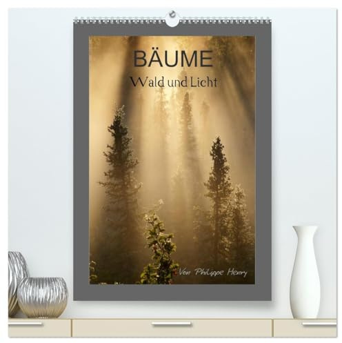 BÄUME (hochwertiger Premium Wandkalender 2026 DIN A2 hoch), Kunstdruck in Hochglanz: Wald und Licht (CALVENDO Natur)