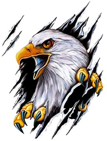 Uposao 3D Auto Aufkleber - 2 Stück Reflektierende Karosserie Dekor Selbstklebend für Motorhaube, Wasserdicht DIY Sticker Styling Dekoration, Adler