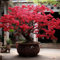 30 Pcs Lebkuchenbaum Kaufen Samen, Kletterpflanzen Winterhart Schnellwachsend, Cercidiphyllum Japonicum, Indoor Plants, Stauden Winterhart Mehrjährig Zimmerpflanzen Samen, Biosaatgut