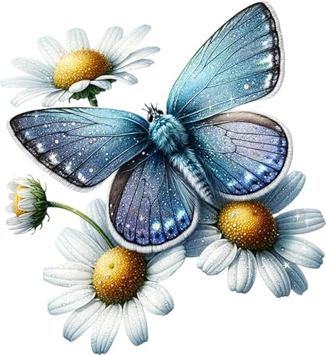 Butterfly Daisy Flower Vinyl Stickers, Cover up Marks, Multi-Purpose Ideal for Phone, Cups, Tile, Toilet, Car, Laptop, Glass & Wall. Non Transparent Decal, Weatherproof & Vibrant (Butterfly Daisy)