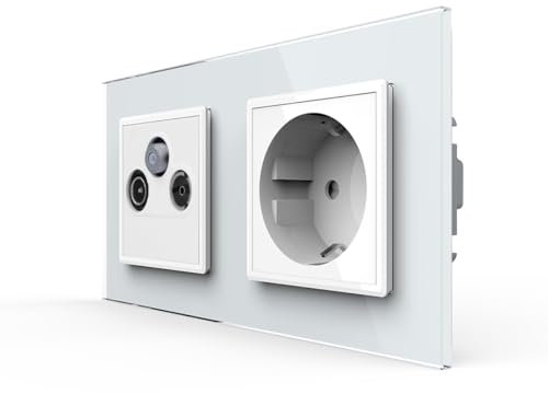 Livolo Interruptor de luz y enchufes con sensor táctil, empotrable, USB, RJ45, Bluetooth, altavoz de cristal, combinación múltiple (conector SAT/TV/FM + enchufe, 2 vías)