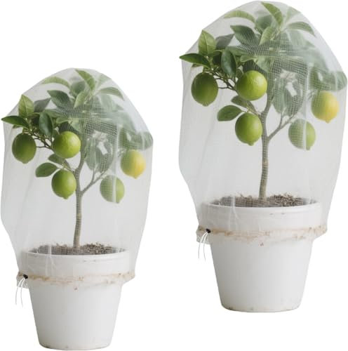 LUMOOM 2 Stück Pflanzenschutznetz, Insektenschutznetz Mit Kordelzug, Vogelschutznetze für Obstbäume, Pflanzen Feinmaschig, Gemüsenetz, Garten SchutzNetz für Obstbäume (0.7mx1m)