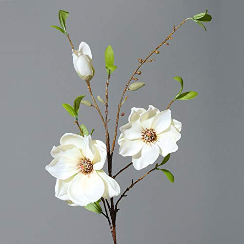 mucplants Großer künstlicher Magnolienzweig Cream ca. 90cm Seidenblumen Kunstblume Magnolie