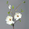 mucplants Großer künstlicher Magnolienzweig Cream ca. 90cm Seidenblumen Kunstblume Magnolie