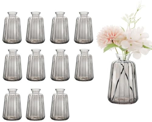 Avmvnvc 12 Mini Vases en Verre - Petits Décoratifs de Table Mariage - Vintage Single-Mini Vase pour Décorations de Table Moderne, Gris